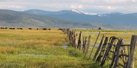 Sierra Valley